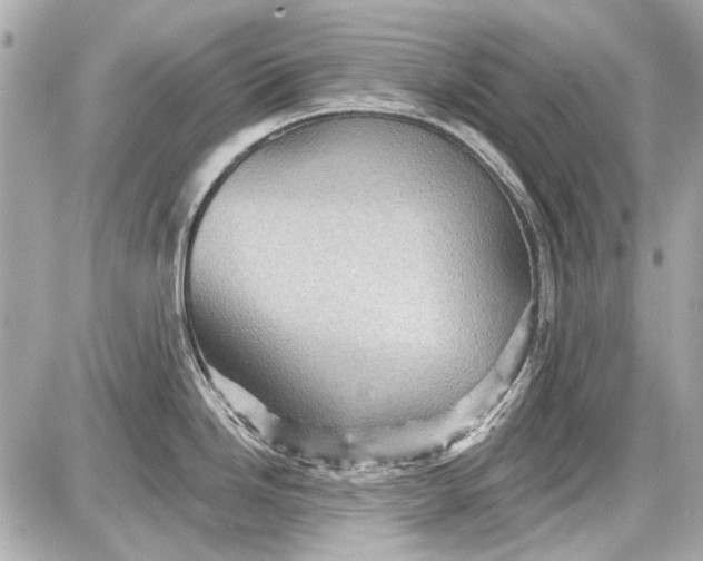 X0000087591246200705112255