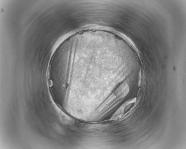 X0000087591247200705112255