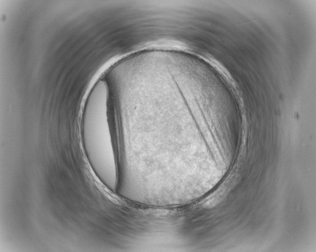 X0000087591248200705112255