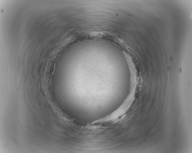 X0000087591249200705112254