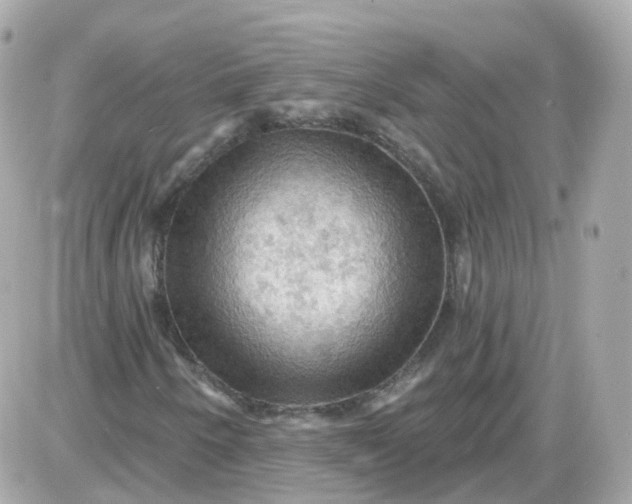 X0000087591250200705112254