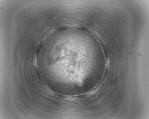 X0000087591251200705112254