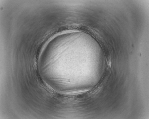 X0000087591252200705112254