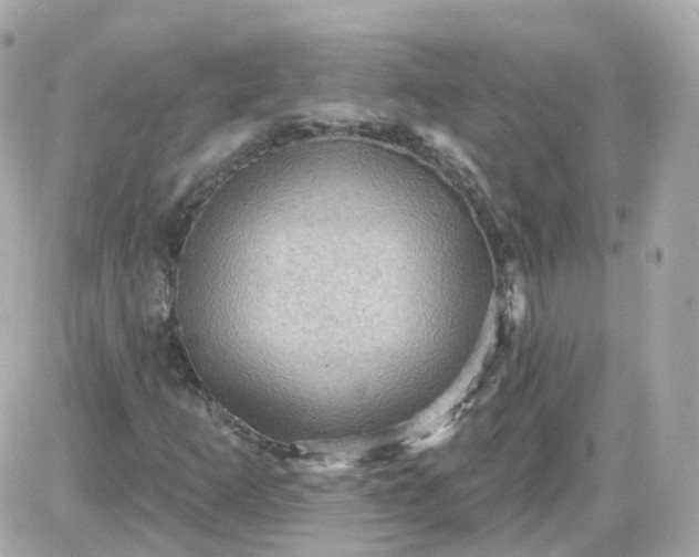 X0000087591253200705112254