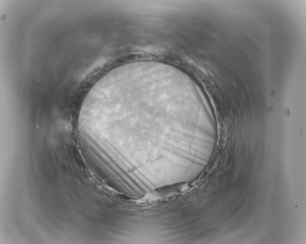 X0000087591254200705112254