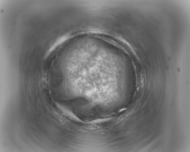 X0000087591255200705112254