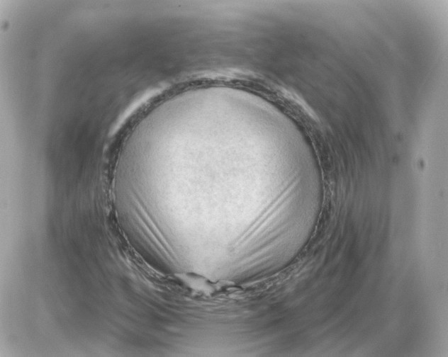 X0000087591256200705112254