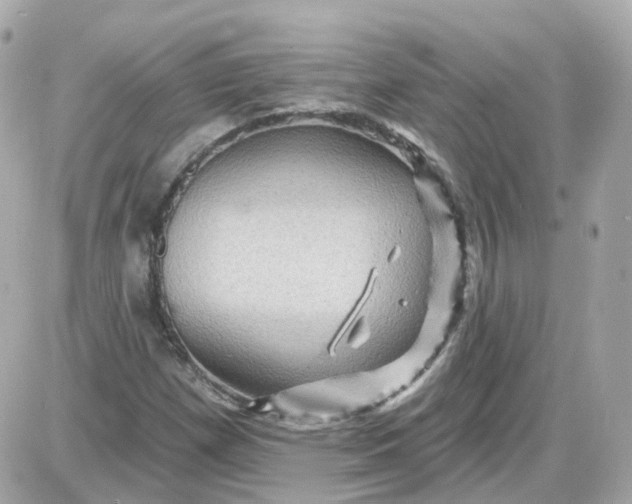 X0000087591257200705112254