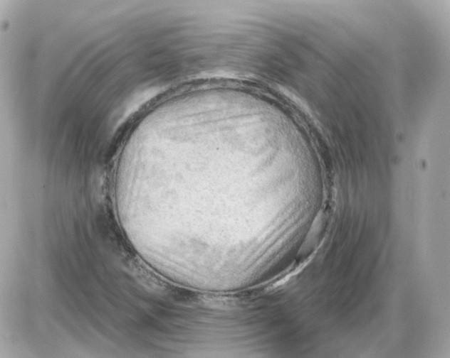 X0000087591258200705112254