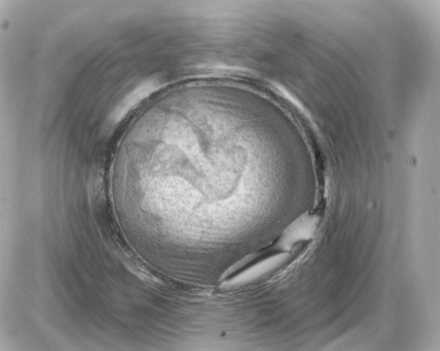 X0000087591259200705112254