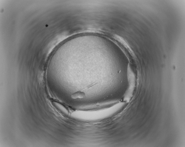 X0000087591260200705112254