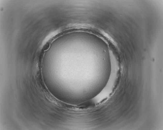 X0000087591261200705112254