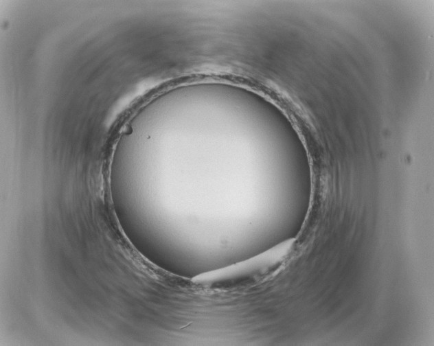 X0000087591262200705112254