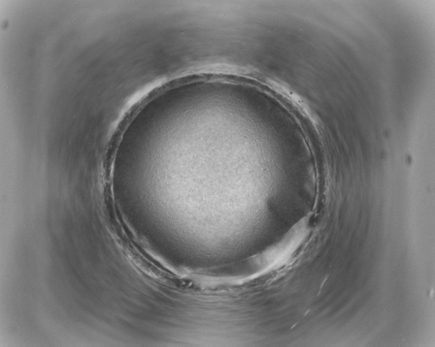 X0000087591264200705112254