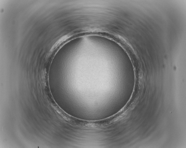 X0000087591265200705112254