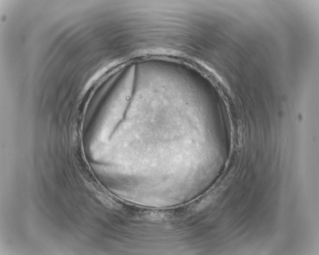 X0000087591266200705112254