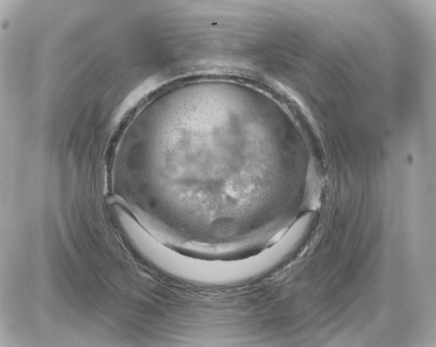 X0000087591267200705112254