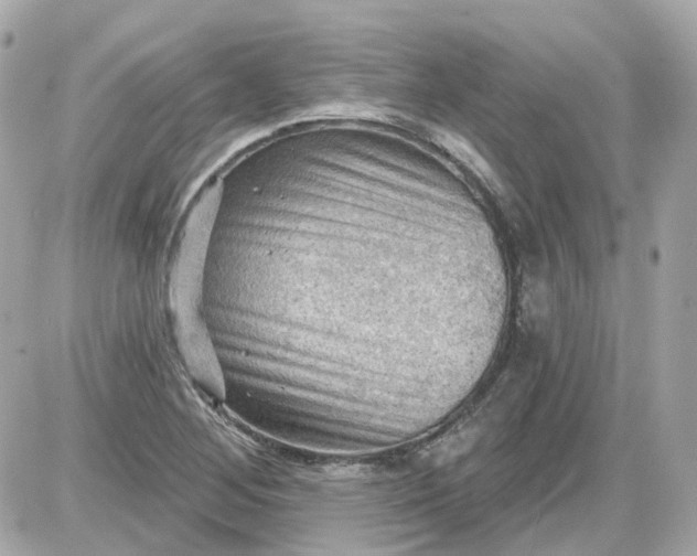 X0000087591268200705112254