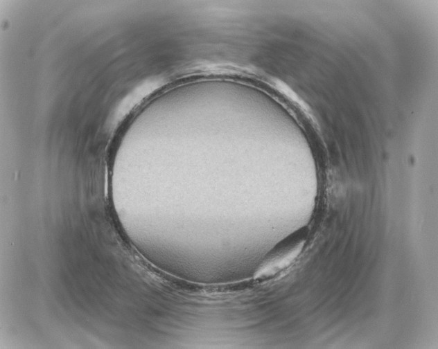 X0000087591269200705112254