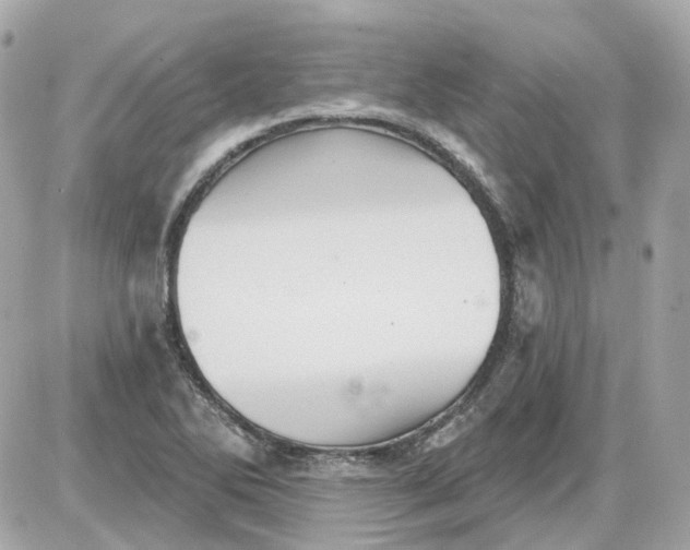 X0000087591270200705112254