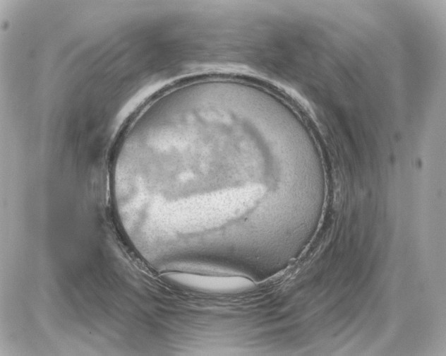 X0000087591271200705112254