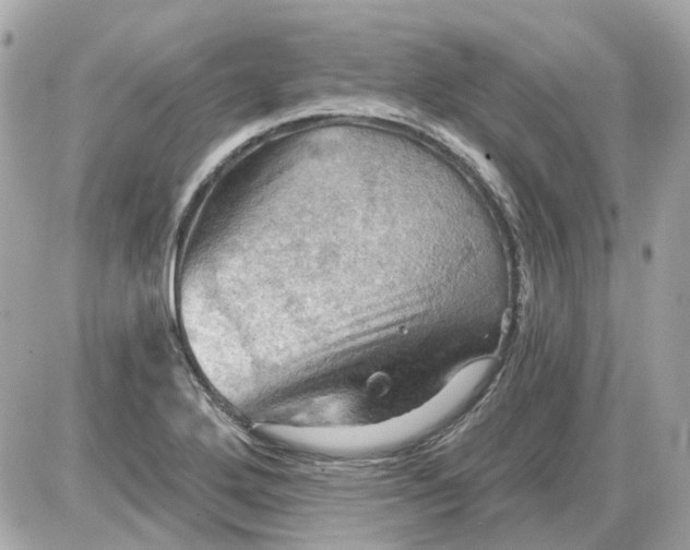 X0000087591272200705112254