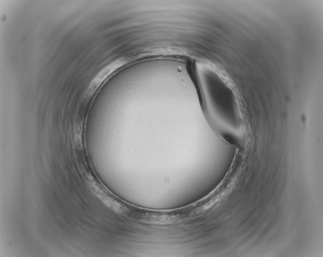 X0000087591273200705112254