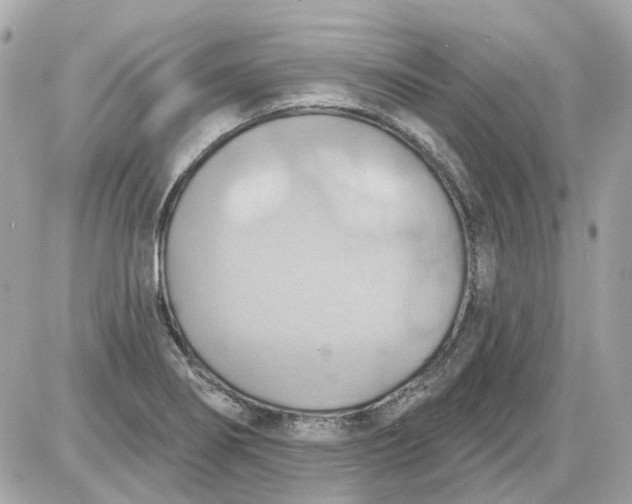 X0000087591274200705112254