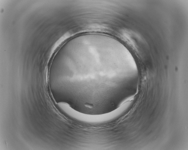 X0000087591275200705112254