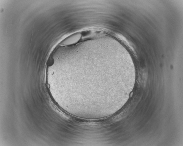 X0000087591276200705112254