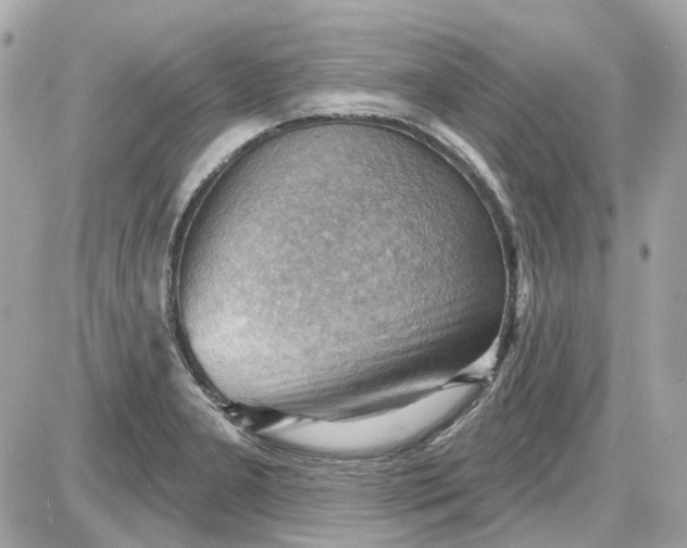 X0000087591277200705112254