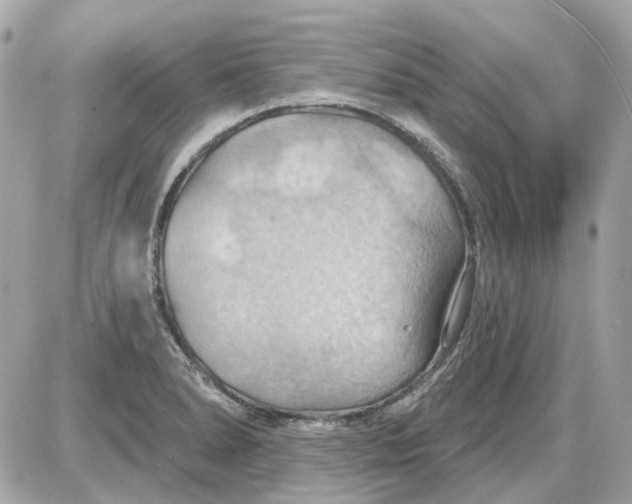 X0000087591278200705112254