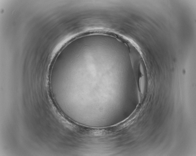 X0000087591279200705112254