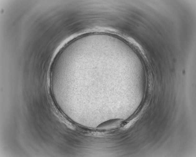 X0000087591280200705112254