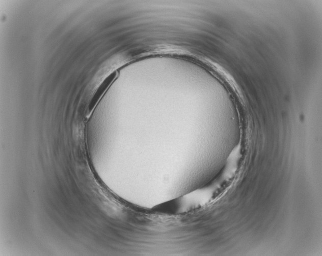 X0000087591281200705112254