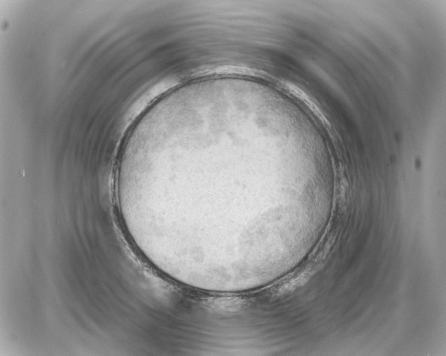 X0000087591282200705112254