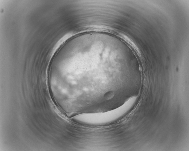 X0000087591283200705112254