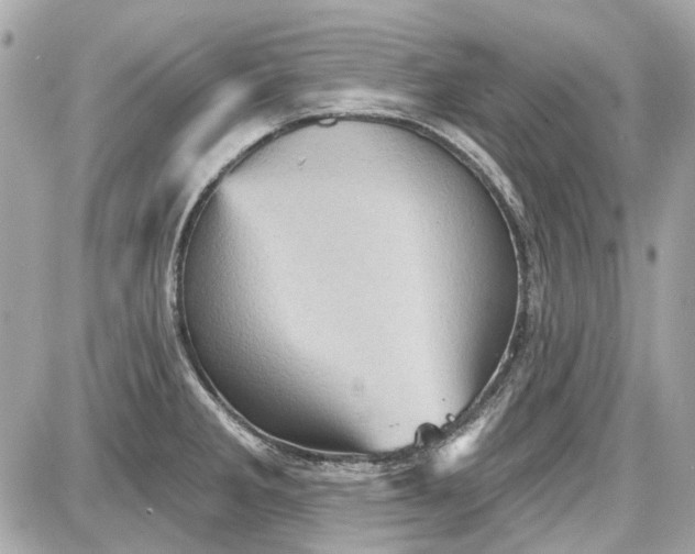 X0000087591285200705112254