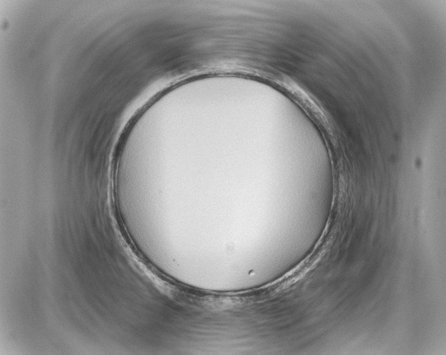 X0000087591286200705112254