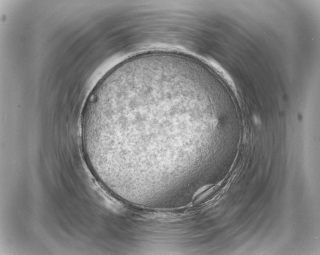 X0000087591287200705112254