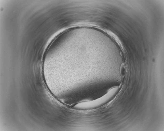 X0000087591288200705112254