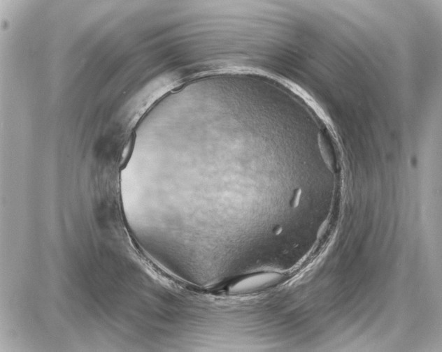 X0000087591289200705112254