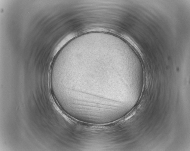 X0000087591290200705112254