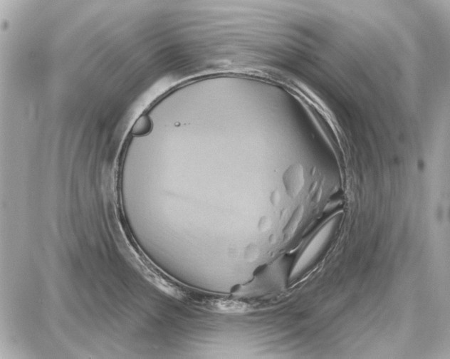 X0000087591291200705112254