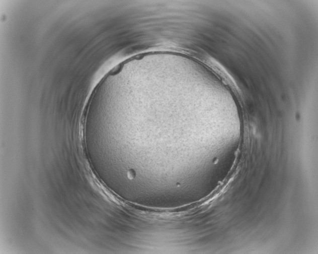 X0000087591292200705112254