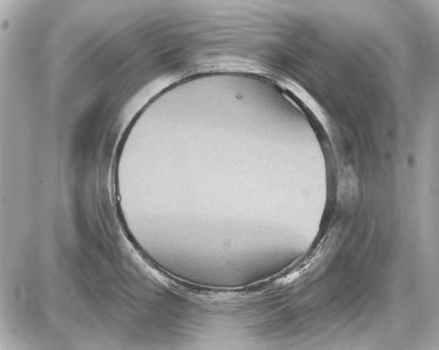 X0000087591293200705112254