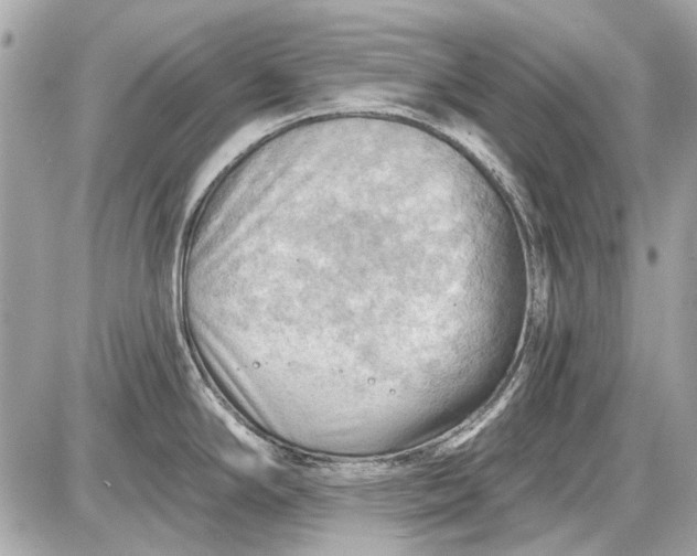 X0000087591294200705112254