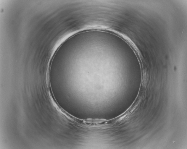 X0000087591295200705112254