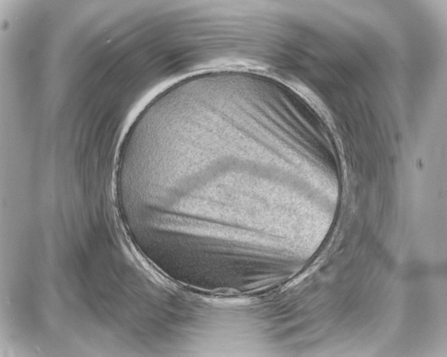 X0000087591296200705112254