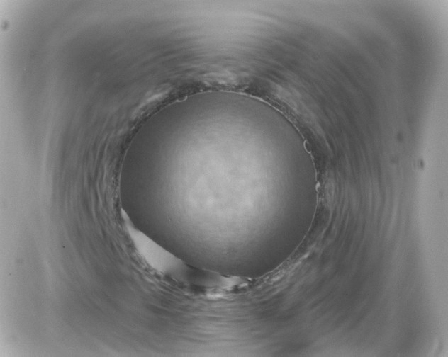 X0000087591297200705112253